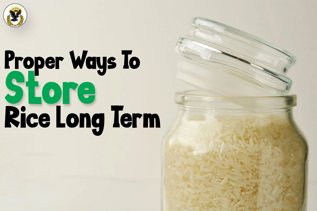 Proper Ways To Store Rice Long Term