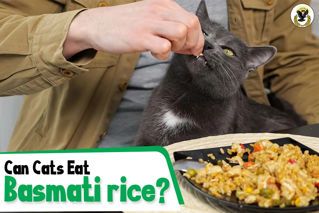 Can cats eat Basmati rice