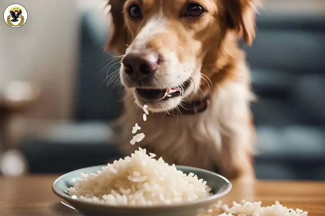 Is Basmati Rice Suitable for Dogs